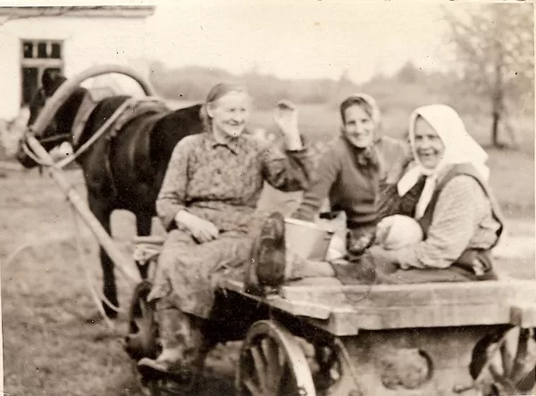 Vecmamma ar darba biedrenēm